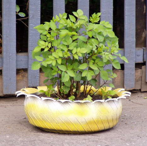 tire planter
