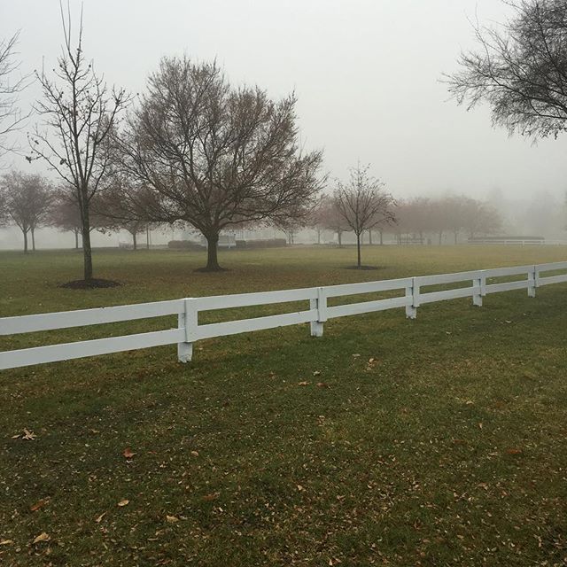 Doesn't Mother Nature know there are photos to be taken?  #allfognosun