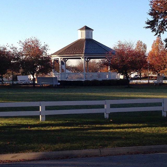 It's a beautiful morning in da hood.  What are your plans for today?