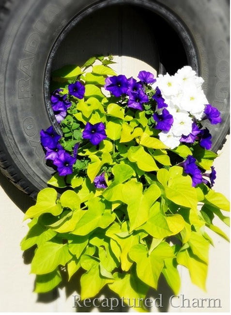 Tire Planter