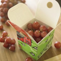 reusable-lunch-containers-craft-step4-photo-150-FF0909SCHOOLW03
