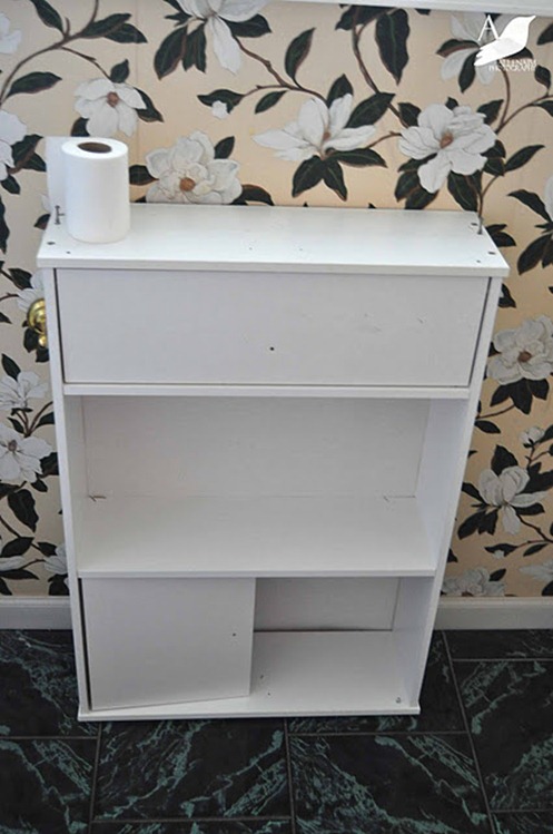 bathroom cabinet before