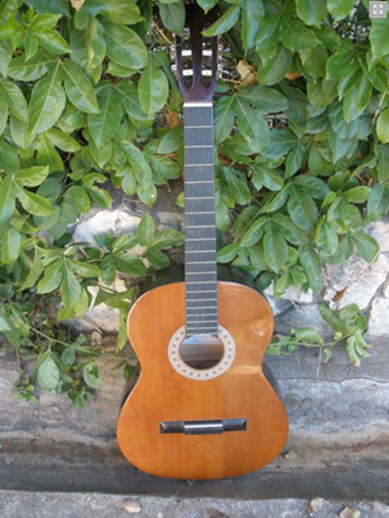 guitar to spice shelf before