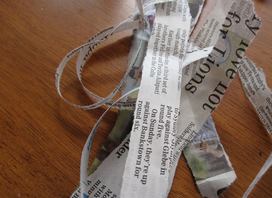 newspapercanvas_0016_IMG_3119