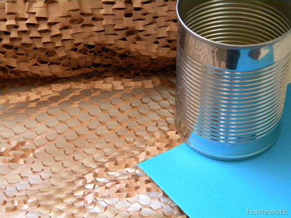 Carolyn's Homework packaging before