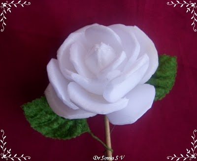 Dr. Sonia thermocol rose