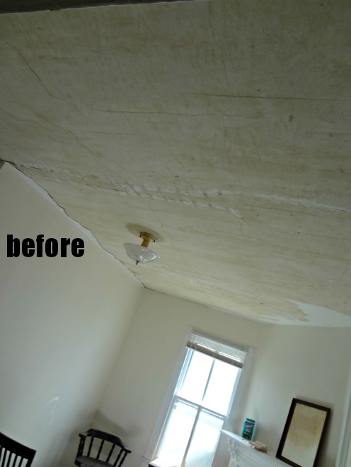 The Space Between ceiling before