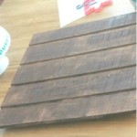 Lolly Jane fox art before