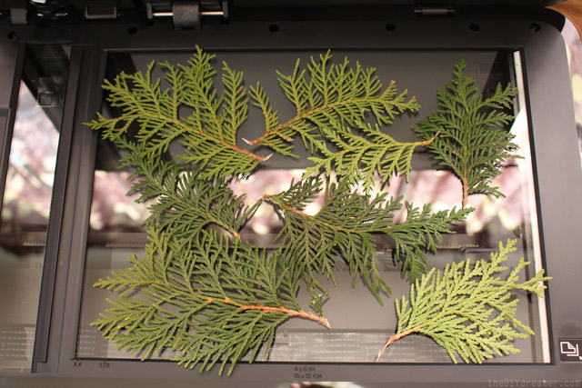 The DIY dreamer diy wrapping paper before