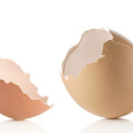 eggshell-open
