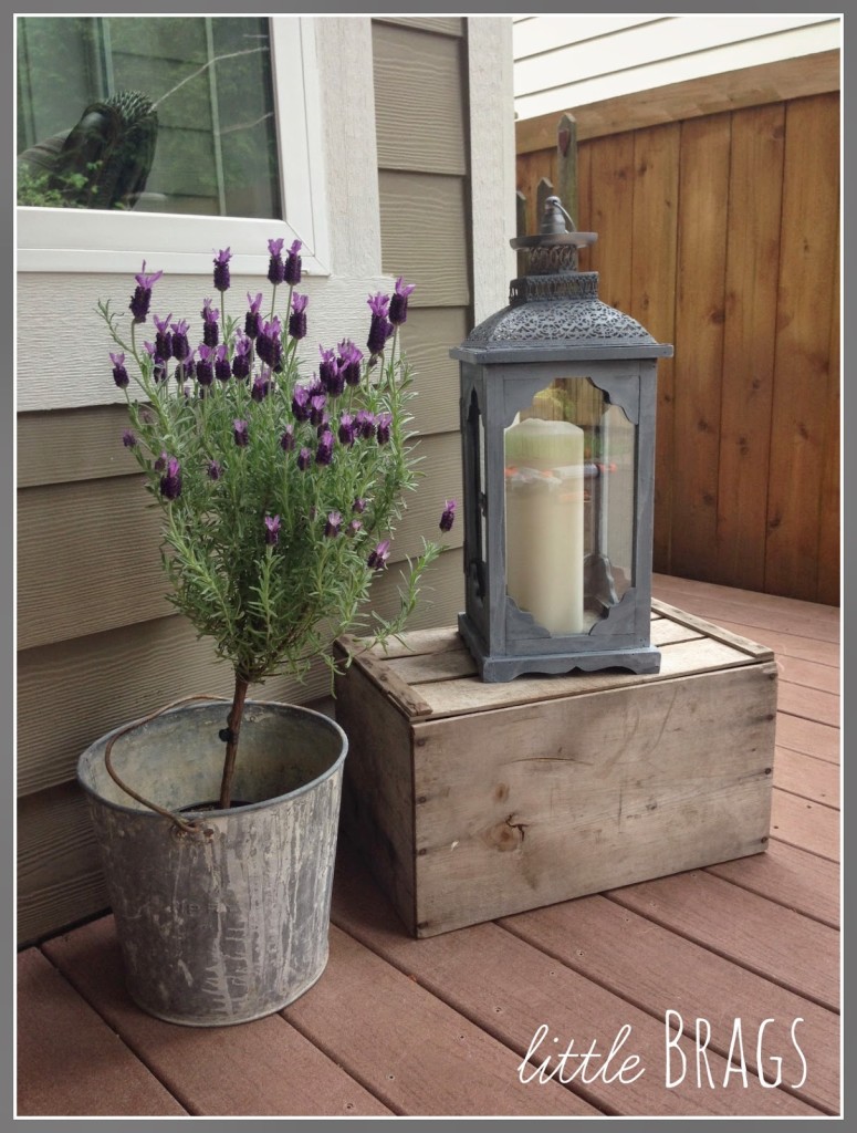 lanterns-painted-DIY