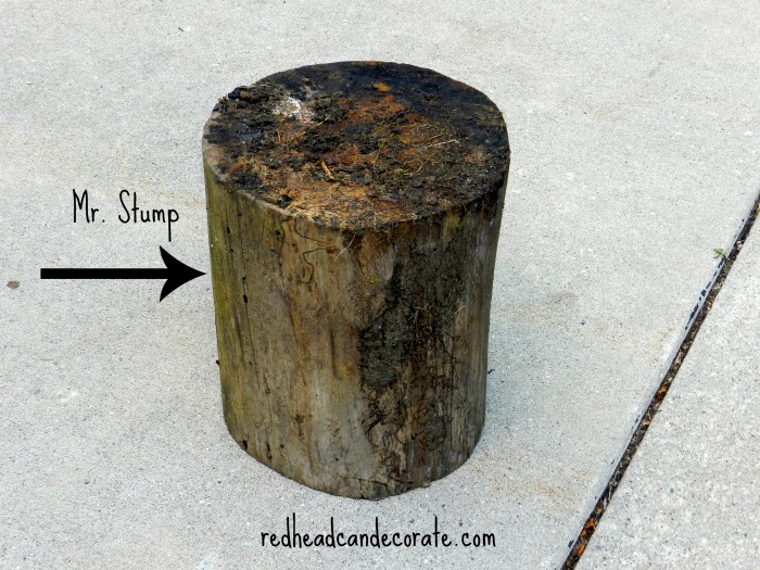 tree-stump