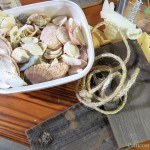 seashell-craft-supplies