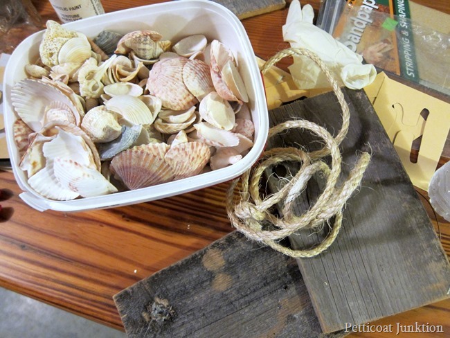 seashell-craft-supplies